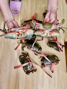 Cua Biển Quảng Yên