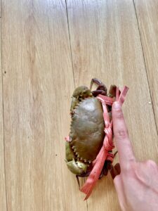 Cua Biển Quảng Yên Loại 2.1