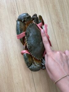 Cua Biển Quảng Yên Loại 3.2