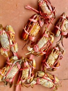 Cua Biển Quảng Yên2