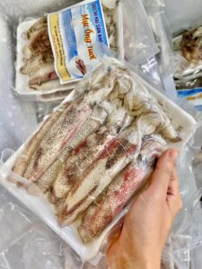 Mực ống Tươi 1