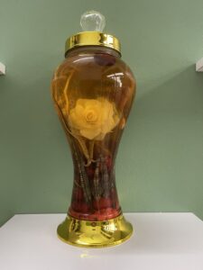 Rượu Tráng Dương Cường Thận 1.3