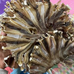 Cá đuối Ghim Khô 2