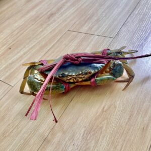 Cua Biển Quảng Yên Loại 2.3