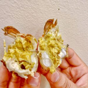 Cua Biển Quảng Yên Loại 2.4